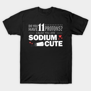 Cool Sciene chemistry humor gift T-Shirt T-Shirt